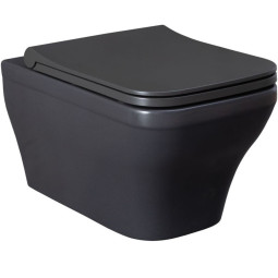 Подвесной унитаз Allen Brau Infinity 4.21011.AN антрацит