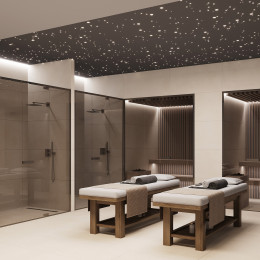 Betonica Crema Pro