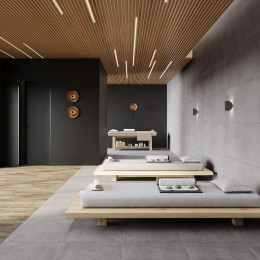 Betonica Grey Pro